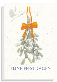 Kerstkaart kerstgroen maretak